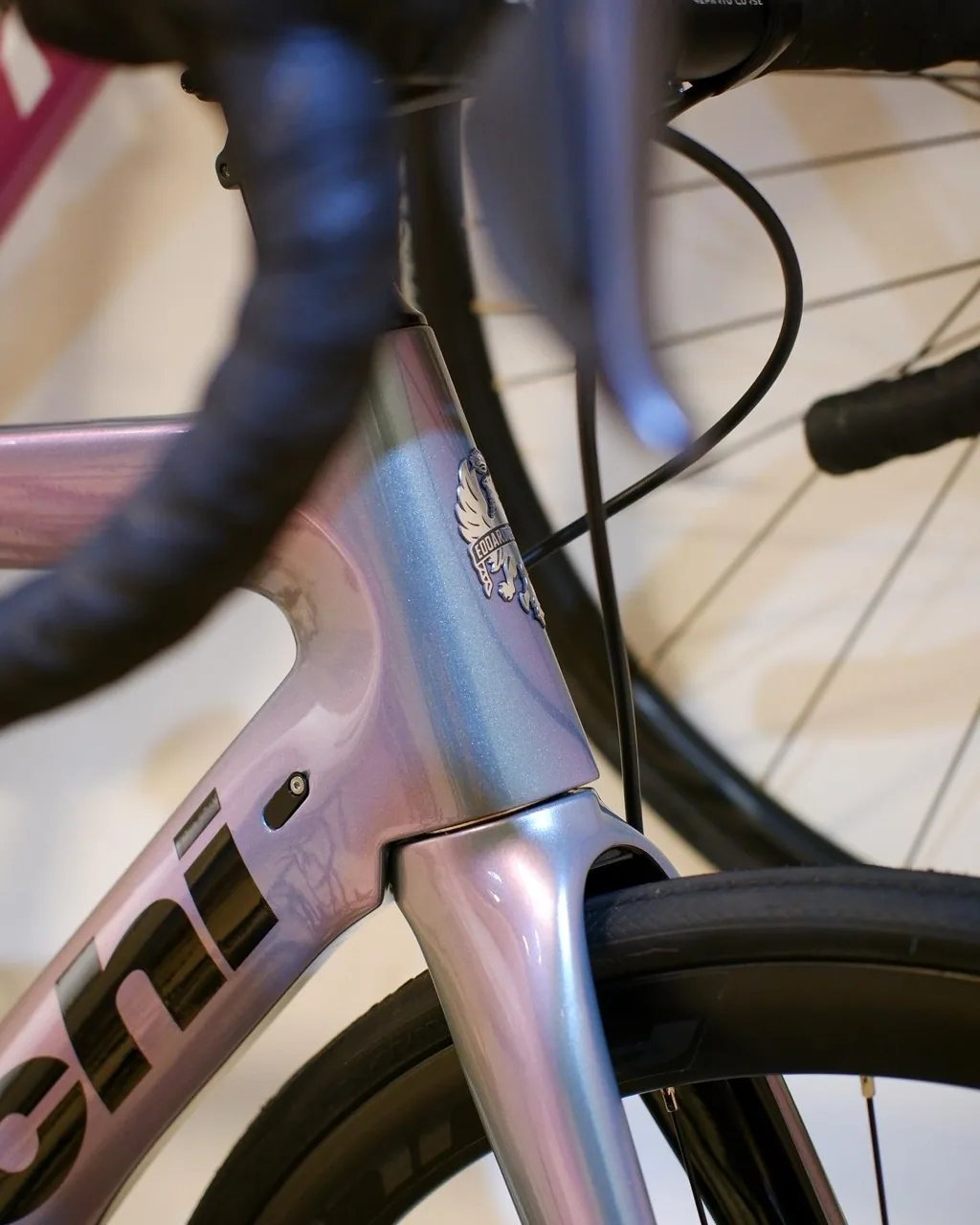 Steuerrohr und Lackierung eines Eddy-Merckx-Rennrads