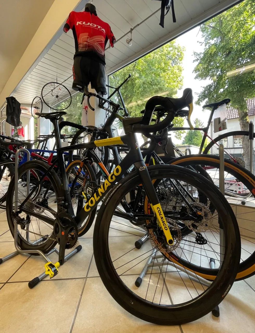 Colnago-Rennrad und weitere Fahrräder in der Ausstellung von Radsport Wittwer