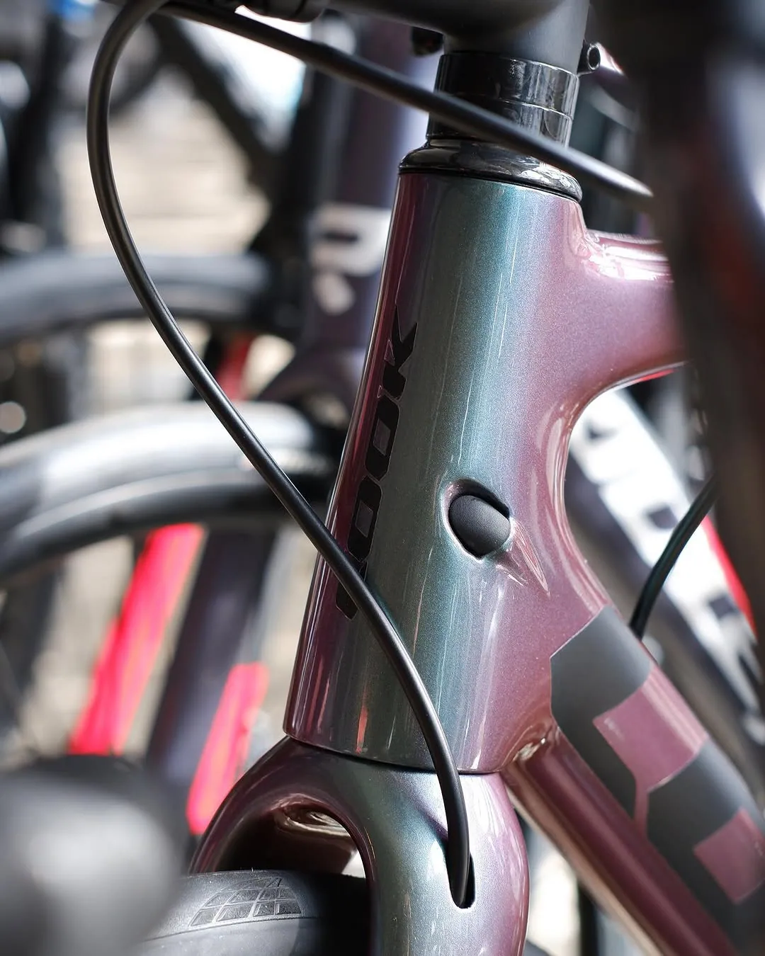 Fahrräder in der Verkaufsfläche von Radsport Wittwer