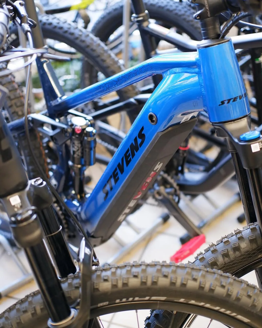 Mountainbike bei Radsport Wittwer in Fröndenberg
