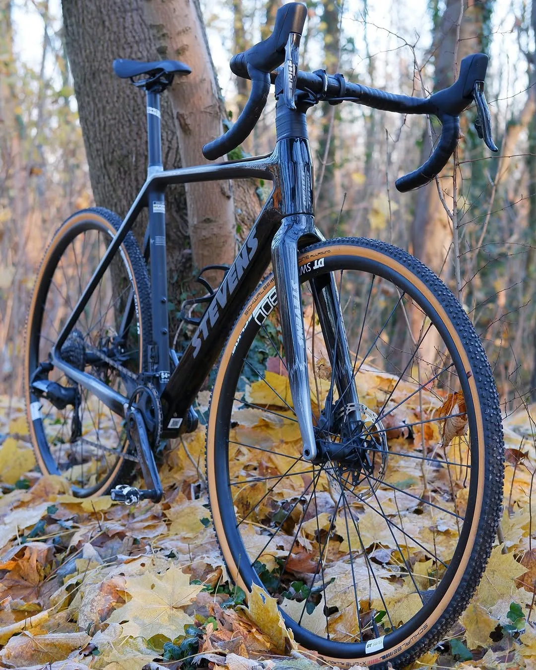 Sportliches Bike von Radsport Wittwer im Wald