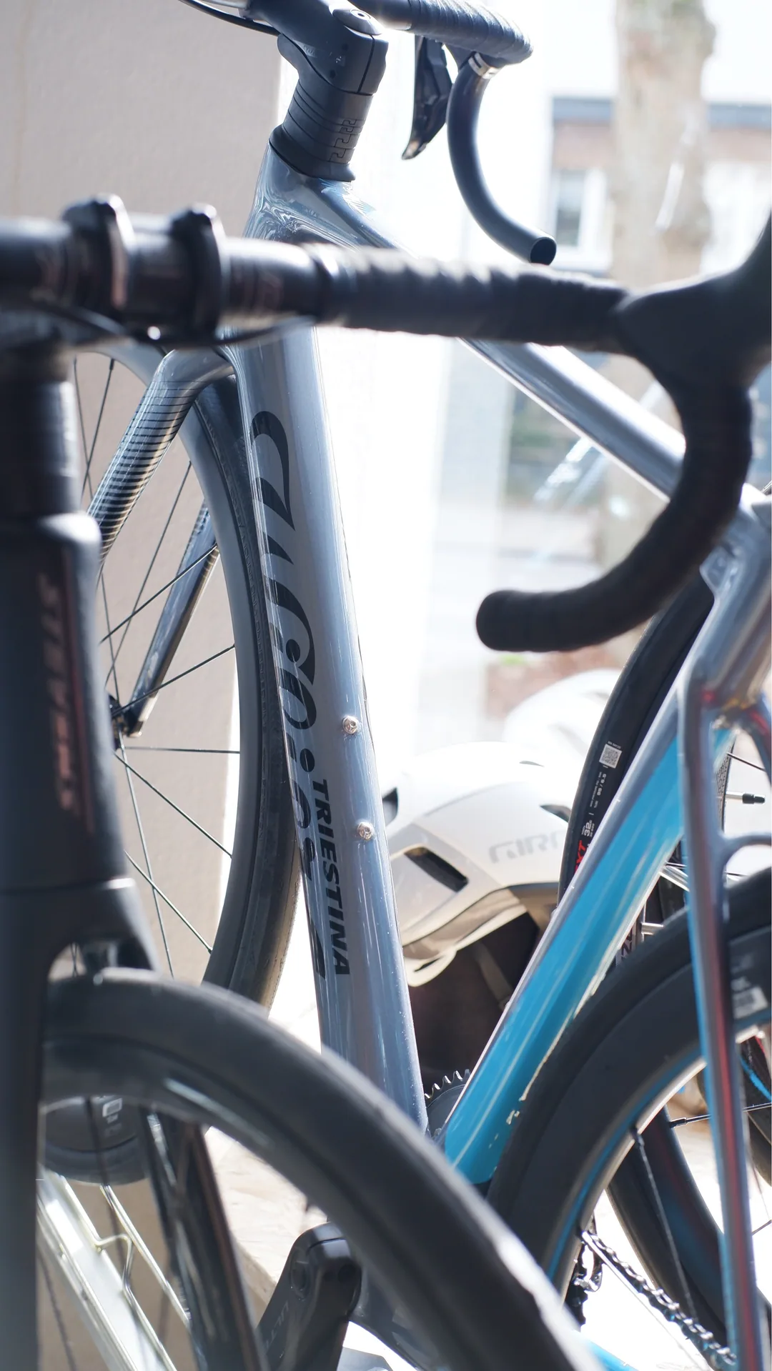 Wilier-Rennräder im Verkaufsraum von Radsport Wittwer